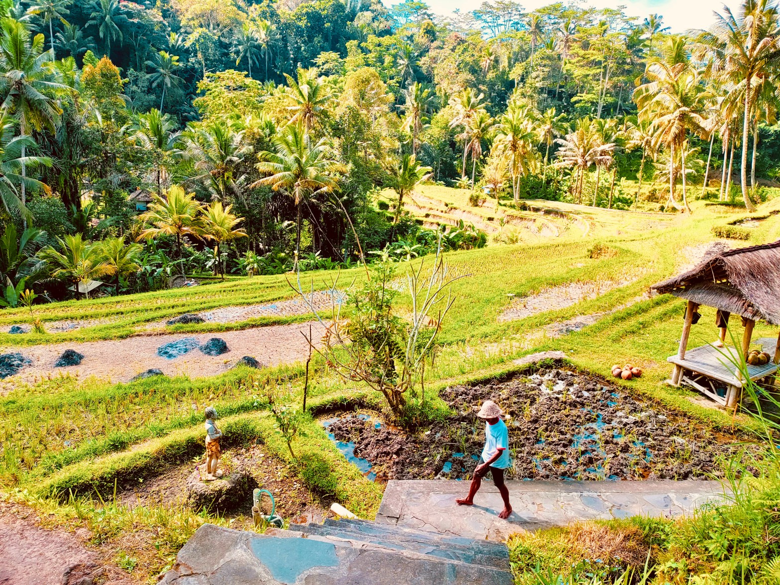 Préparez votre escapade à Bali : Guide des formalités et conseils indispensables avant le départ&nbsp;!